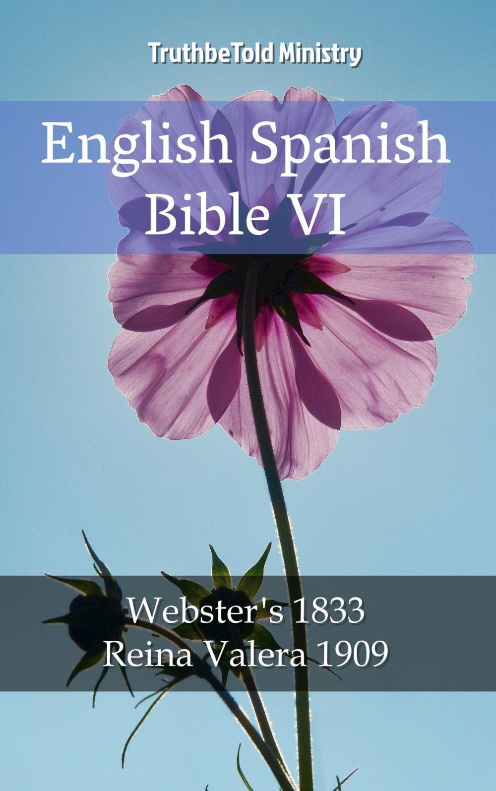 Big bigCover of English Spanish Bible VI