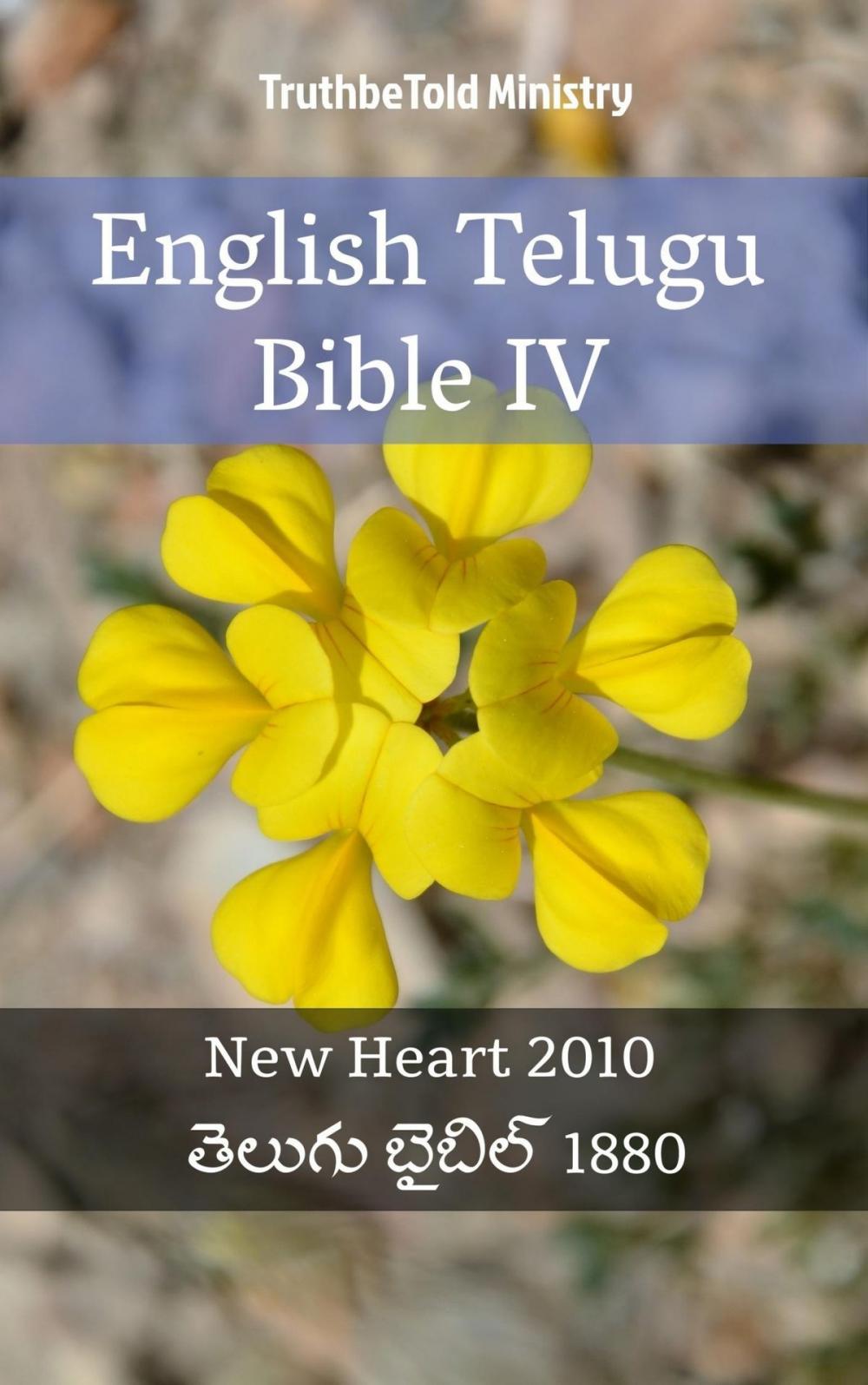 Big bigCover of English Telugu Bible IV