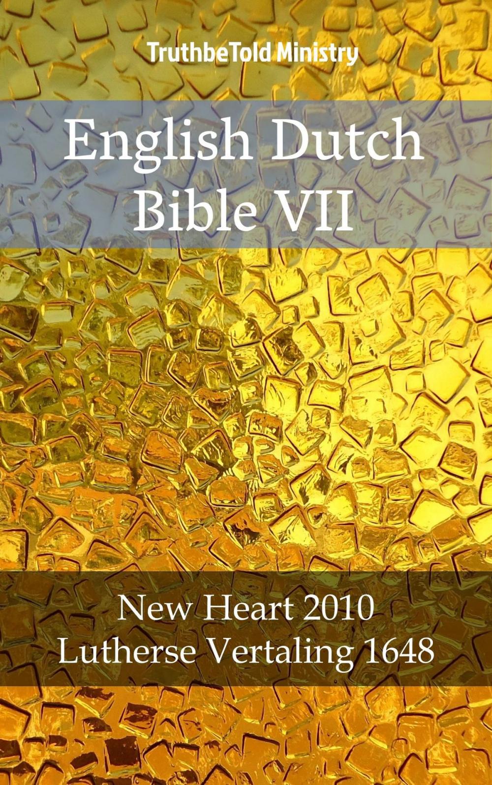 Big bigCover of English Dutch Bible VII