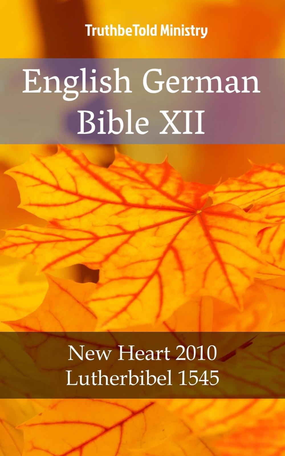 Big bigCover of English German Bible XII
