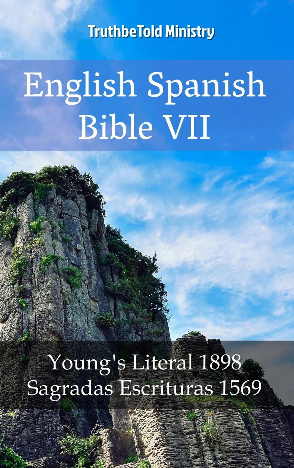 Big bigCover of English Spanish Bible VII