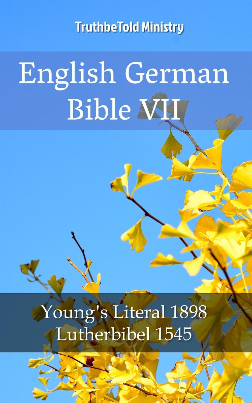 Big bigCover of English German Bible VII