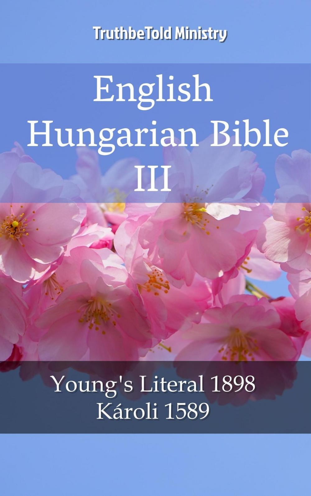 Big bigCover of English Hungarian Bible III