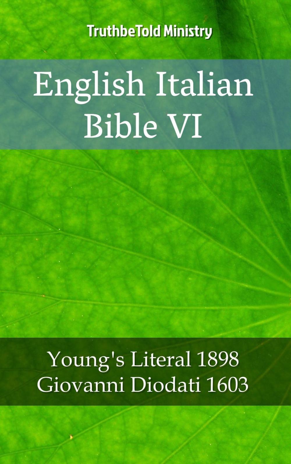 Big bigCover of English Italian Bible VI