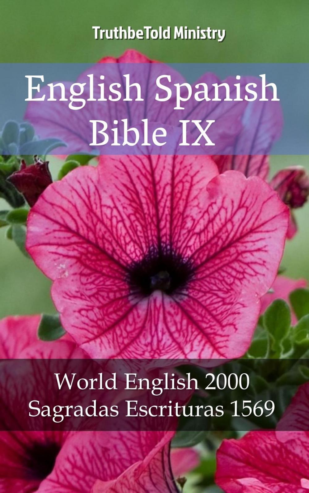 Big bigCover of English Spanish Bible IX