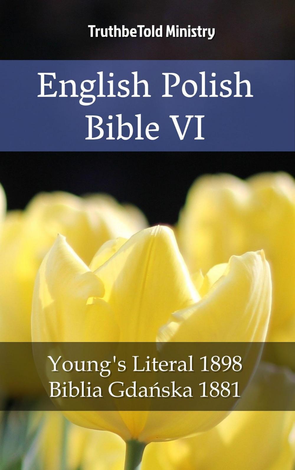 Big bigCover of English Polish Bible VI