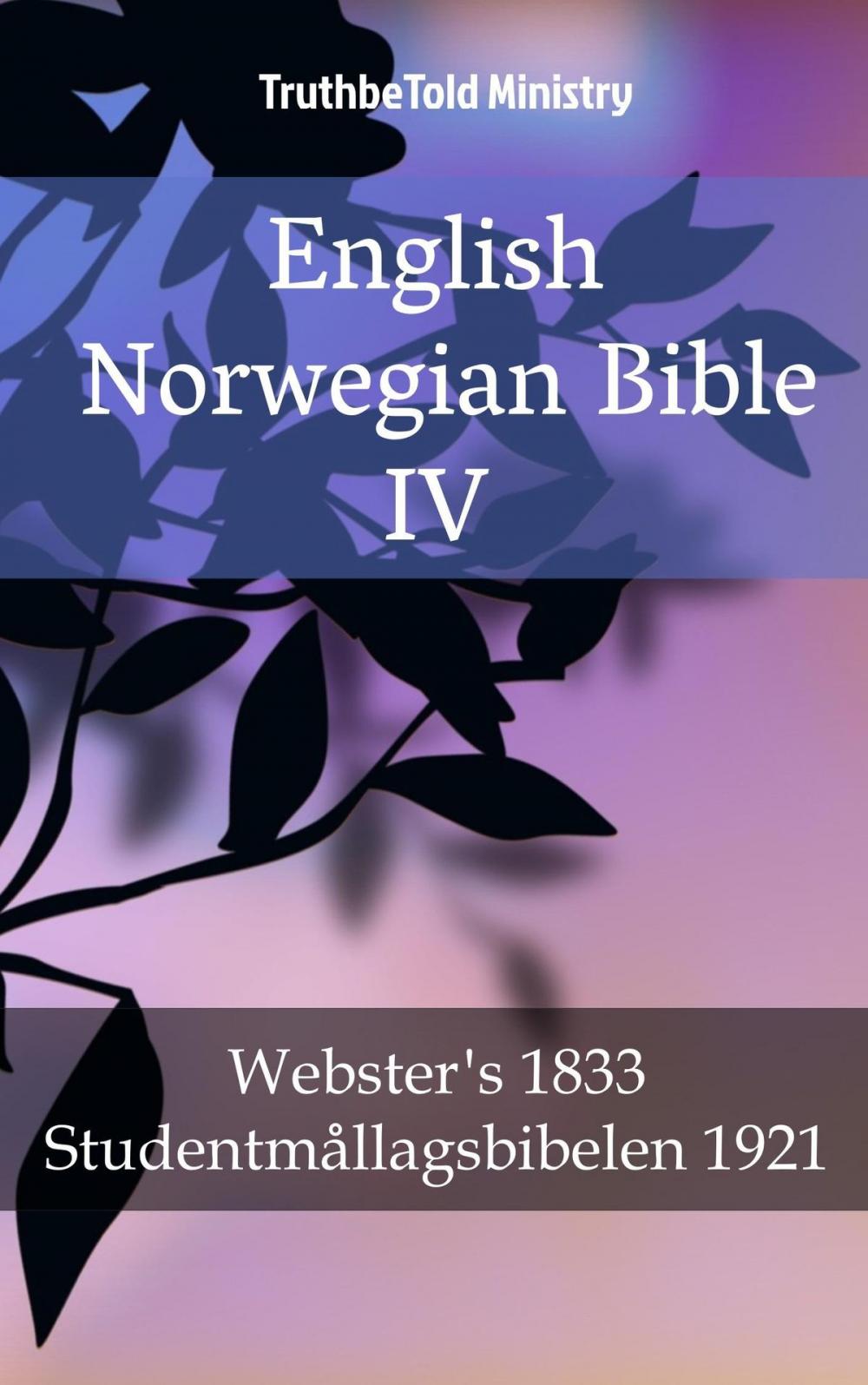 Big bigCover of English Norwegian Bible IV