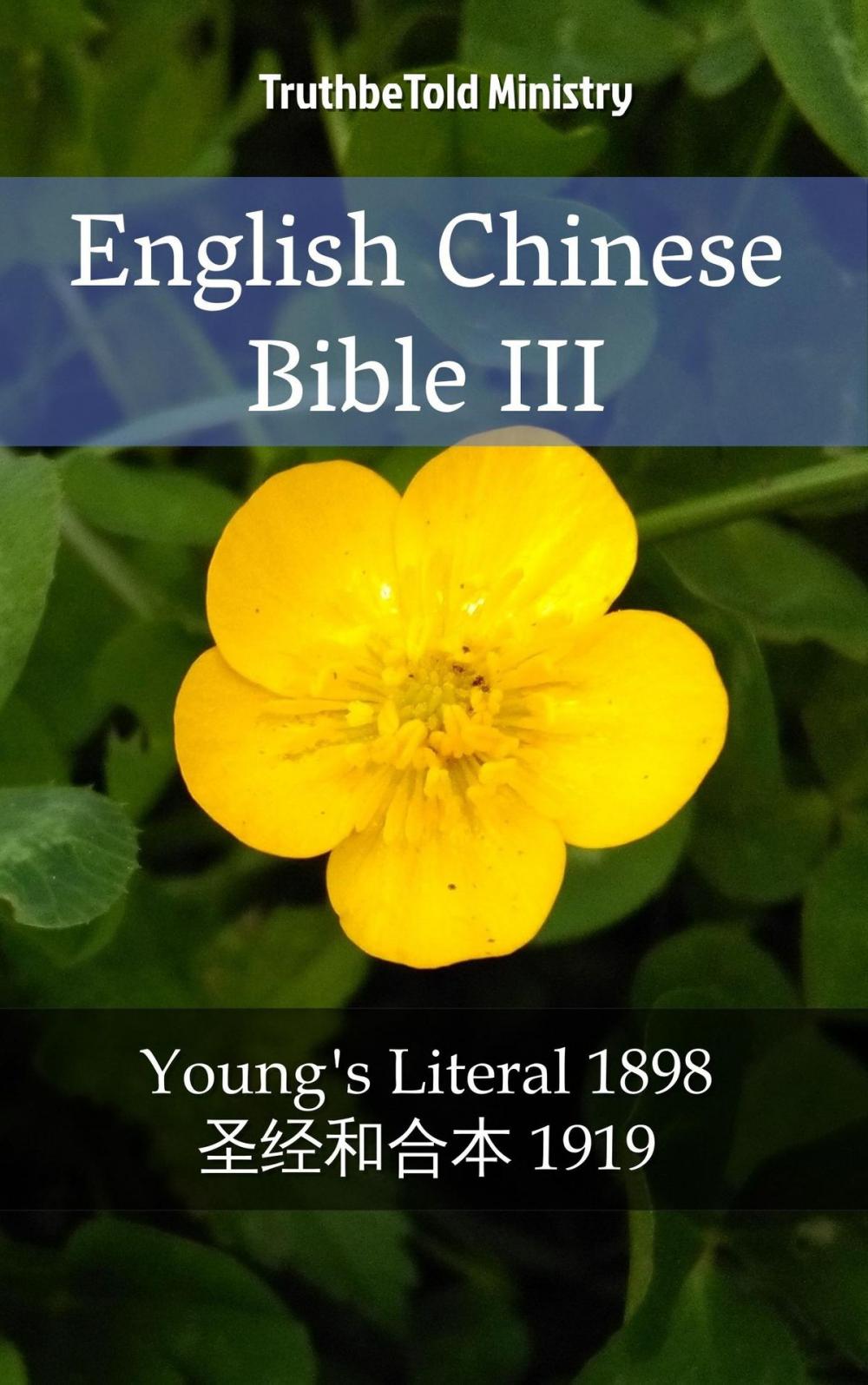 Big bigCover of English Chinese Bible III