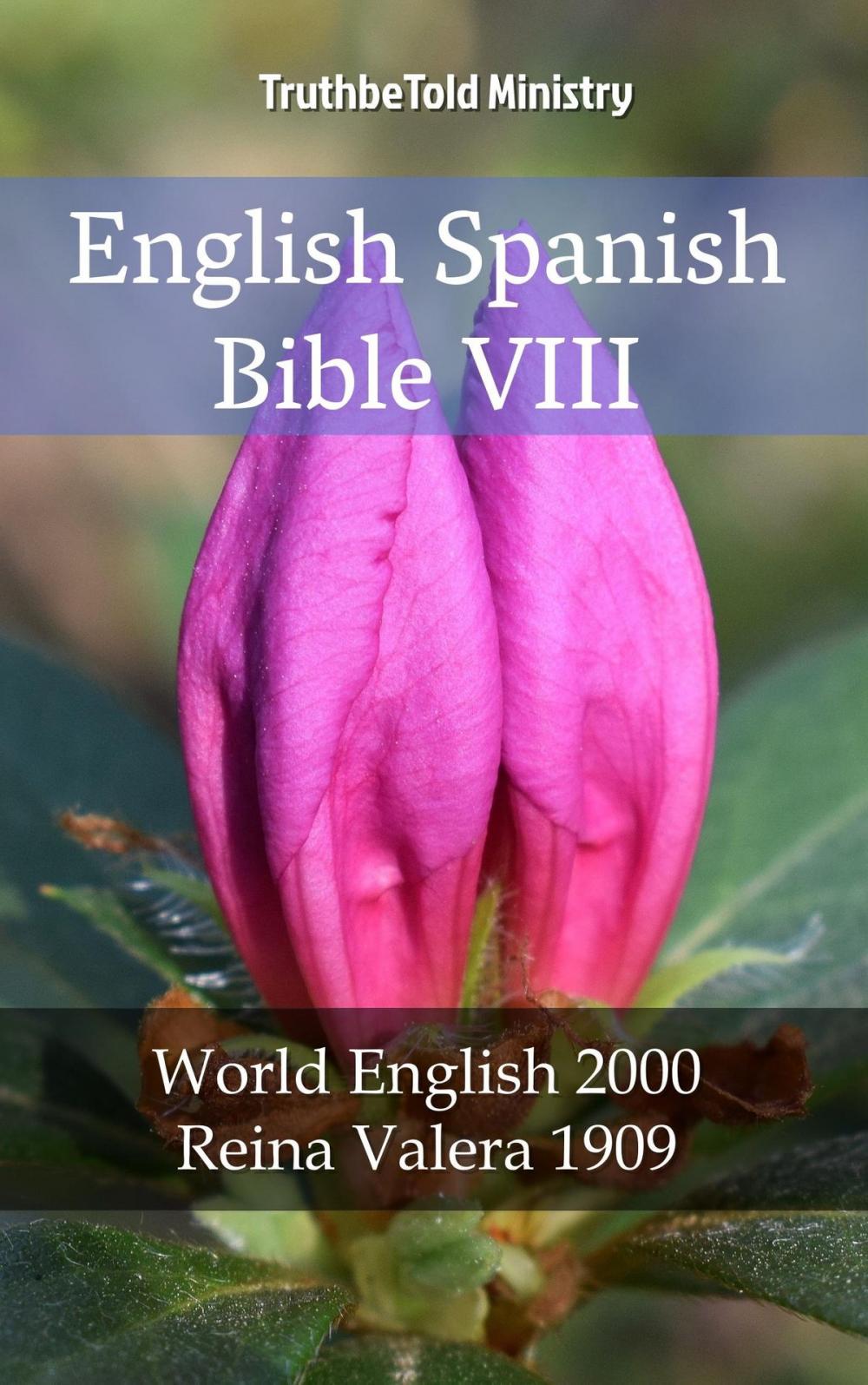 Big bigCover of English Spanish Bible VIII