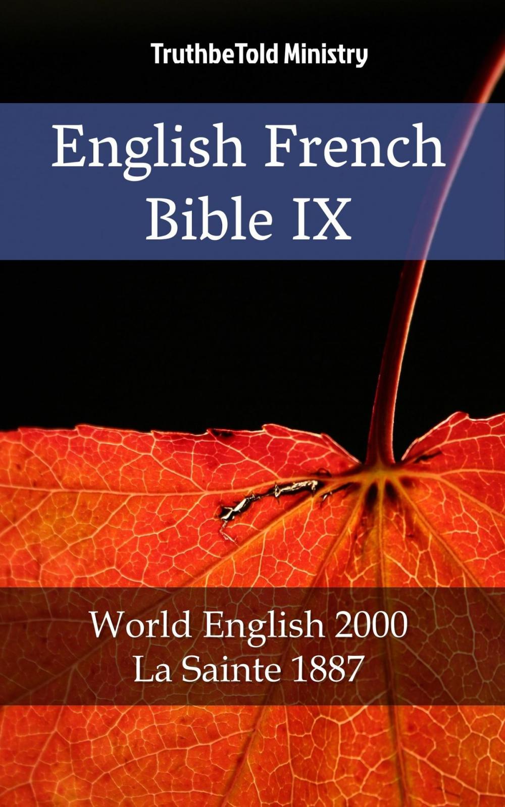 Big bigCover of English French Bible IX