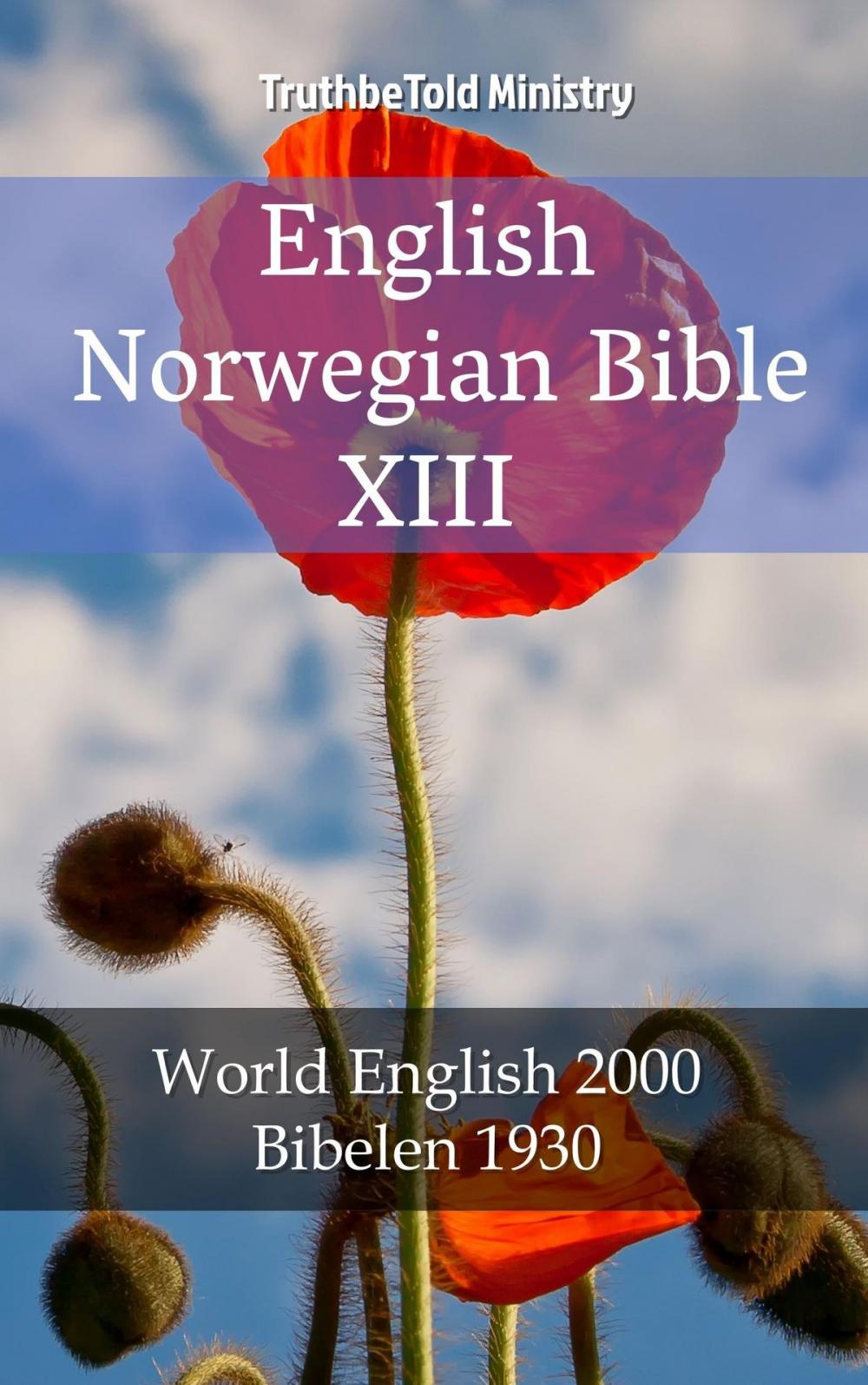 Big bigCover of English Norwegian Bible XIII