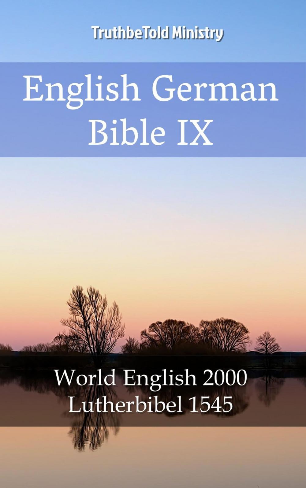 Big bigCover of English German Bible IX