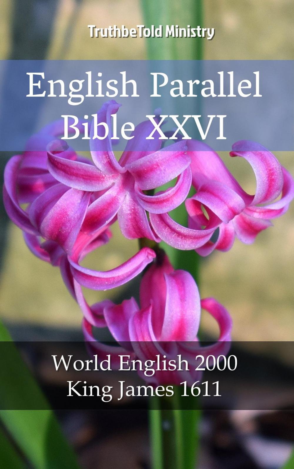 Big bigCover of English Parallel Bible XXVI