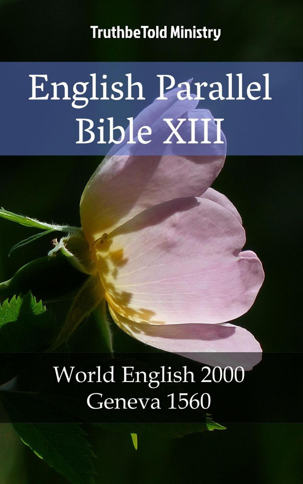 Big bigCover of English Parallel Bible XIII