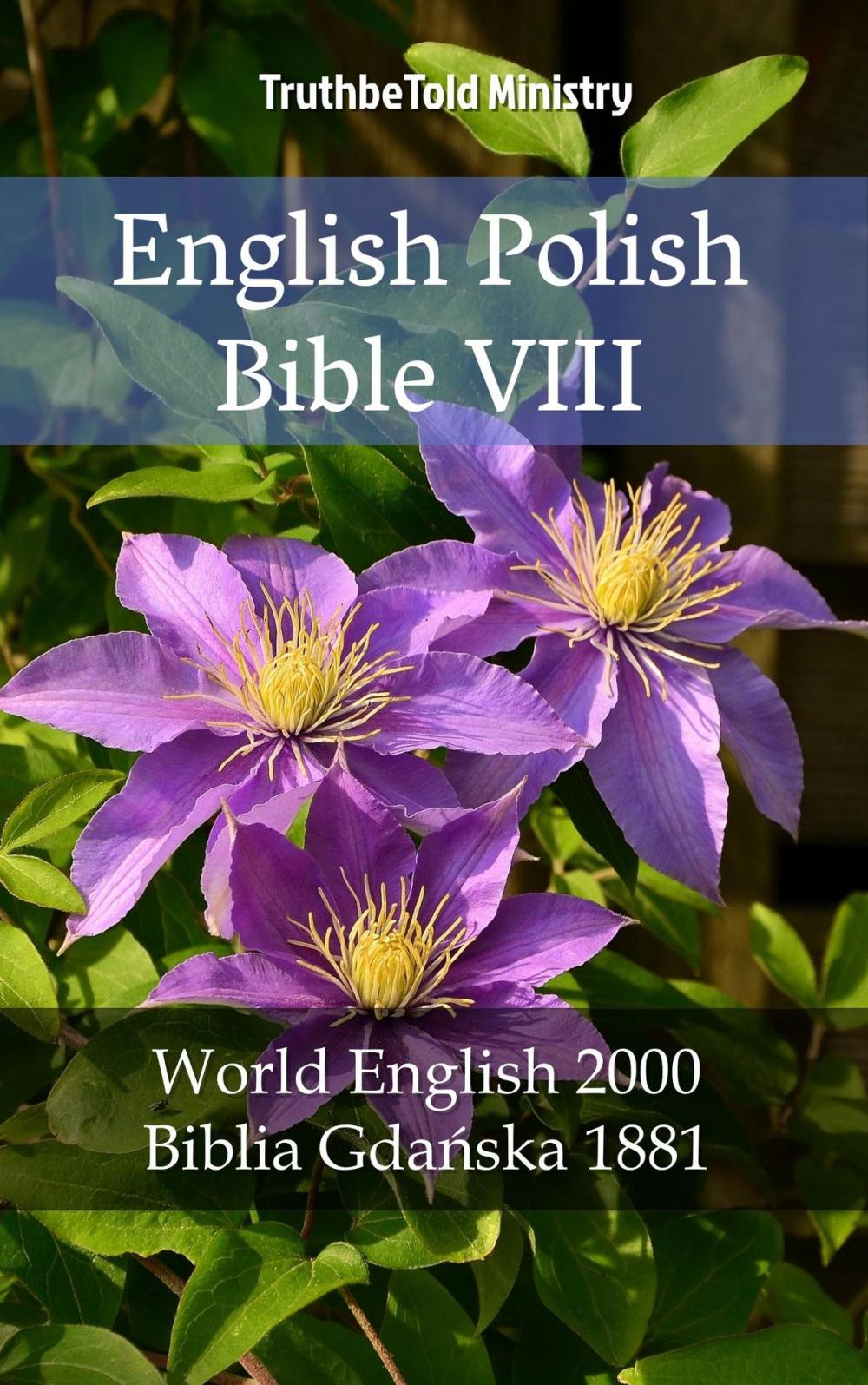 Big bigCover of English Polish Bible VIII