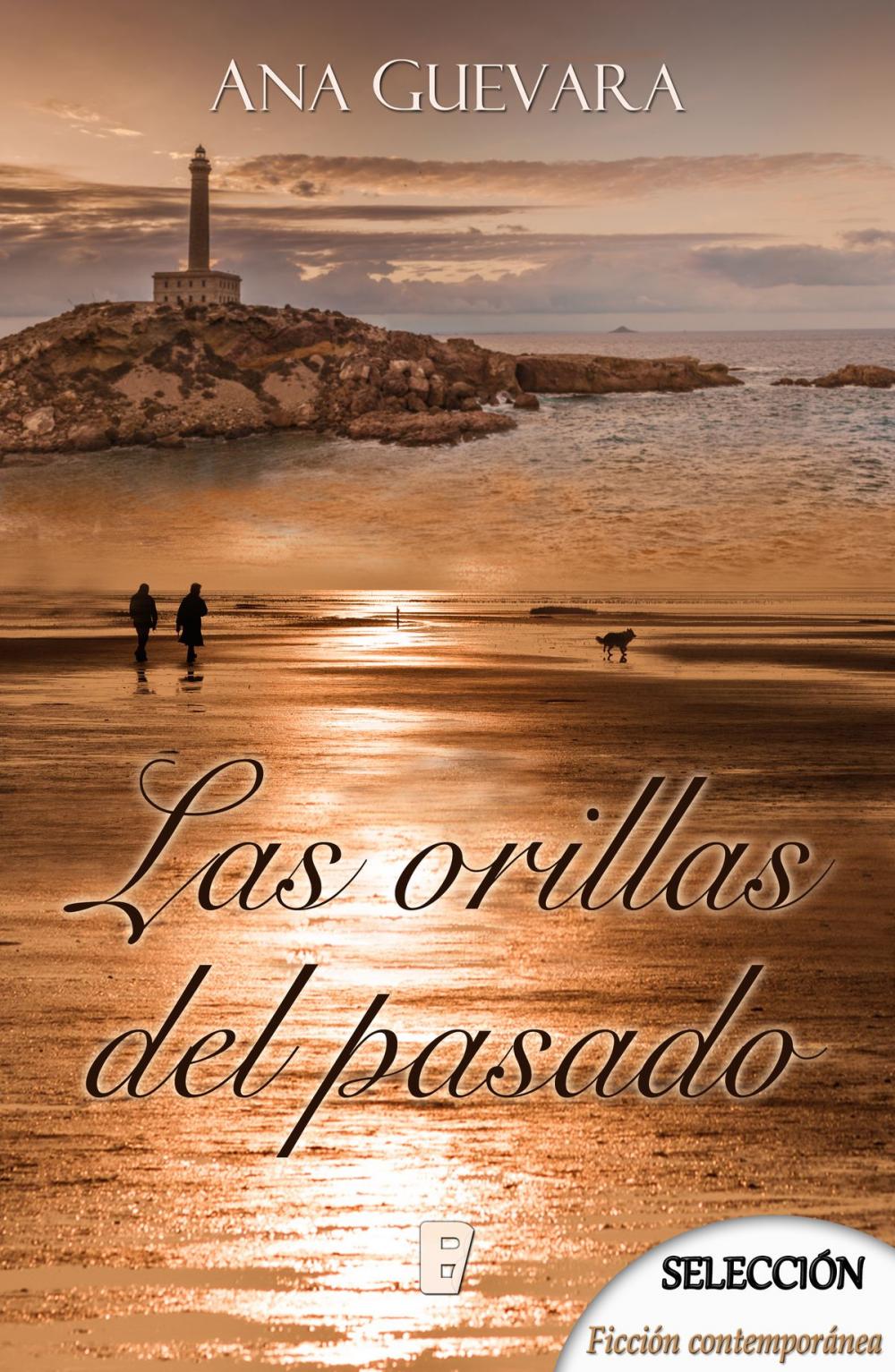 Big bigCover of Las orillas del pasado