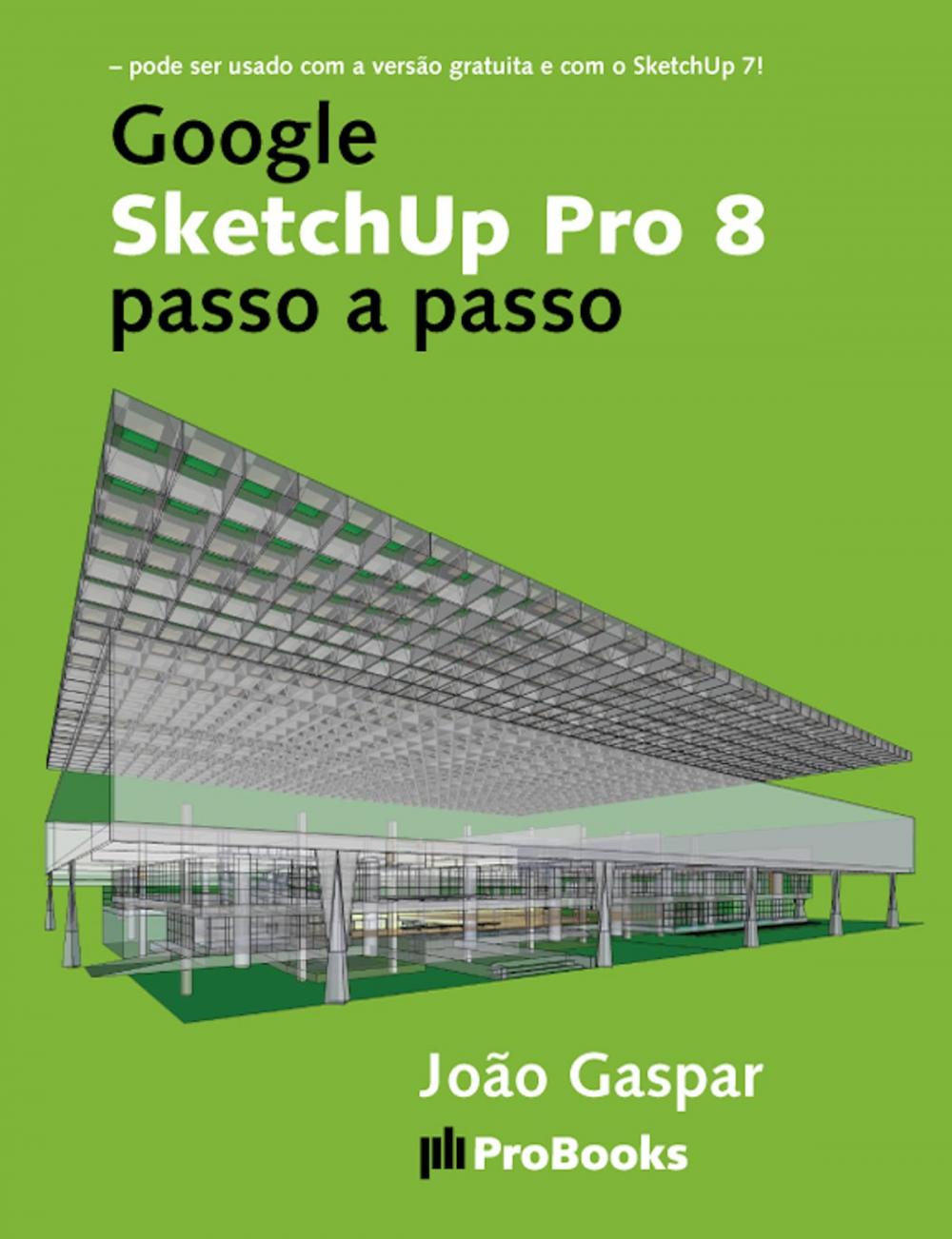 Big bigCover of Google SketchUp Pro 8 passo a passo