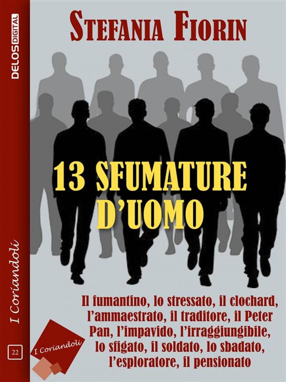 Big bigCover of 13 sfumature d'uomo