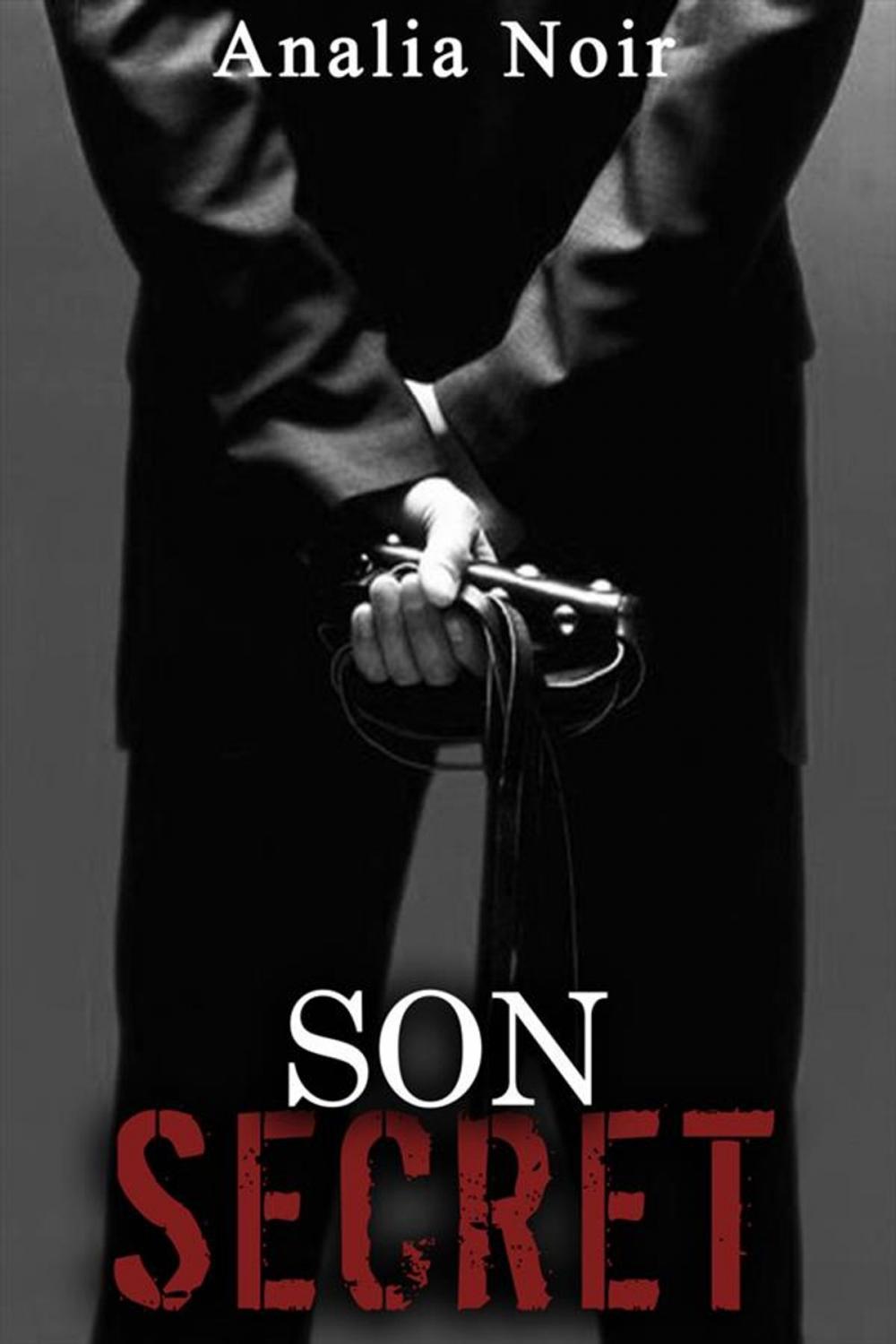 Big bigCover of Son Secret (tome 1)