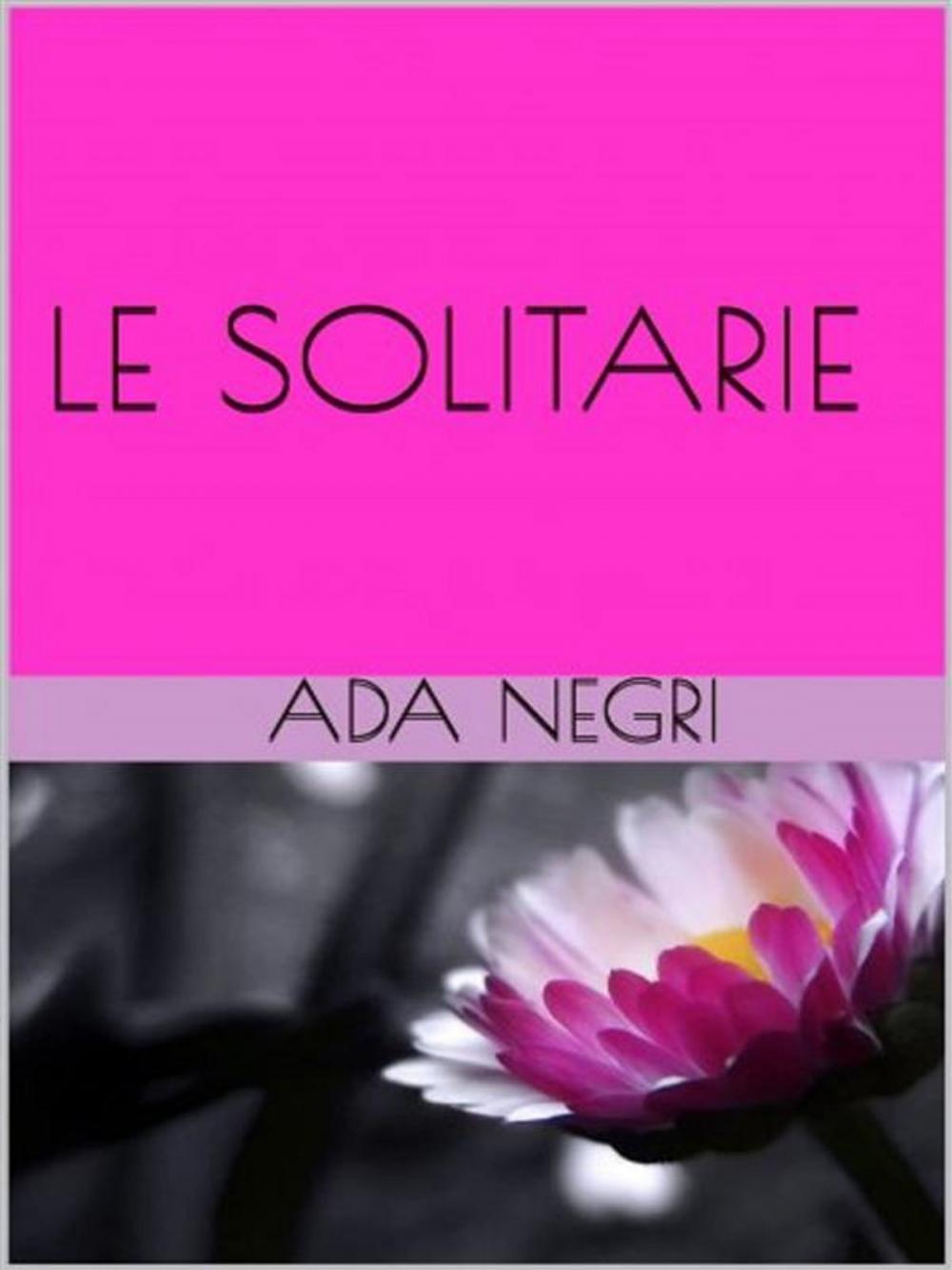 Big bigCover of Le solitarie