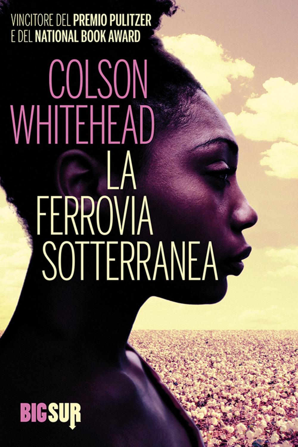 Big bigCover of La ferrovia sotterranea