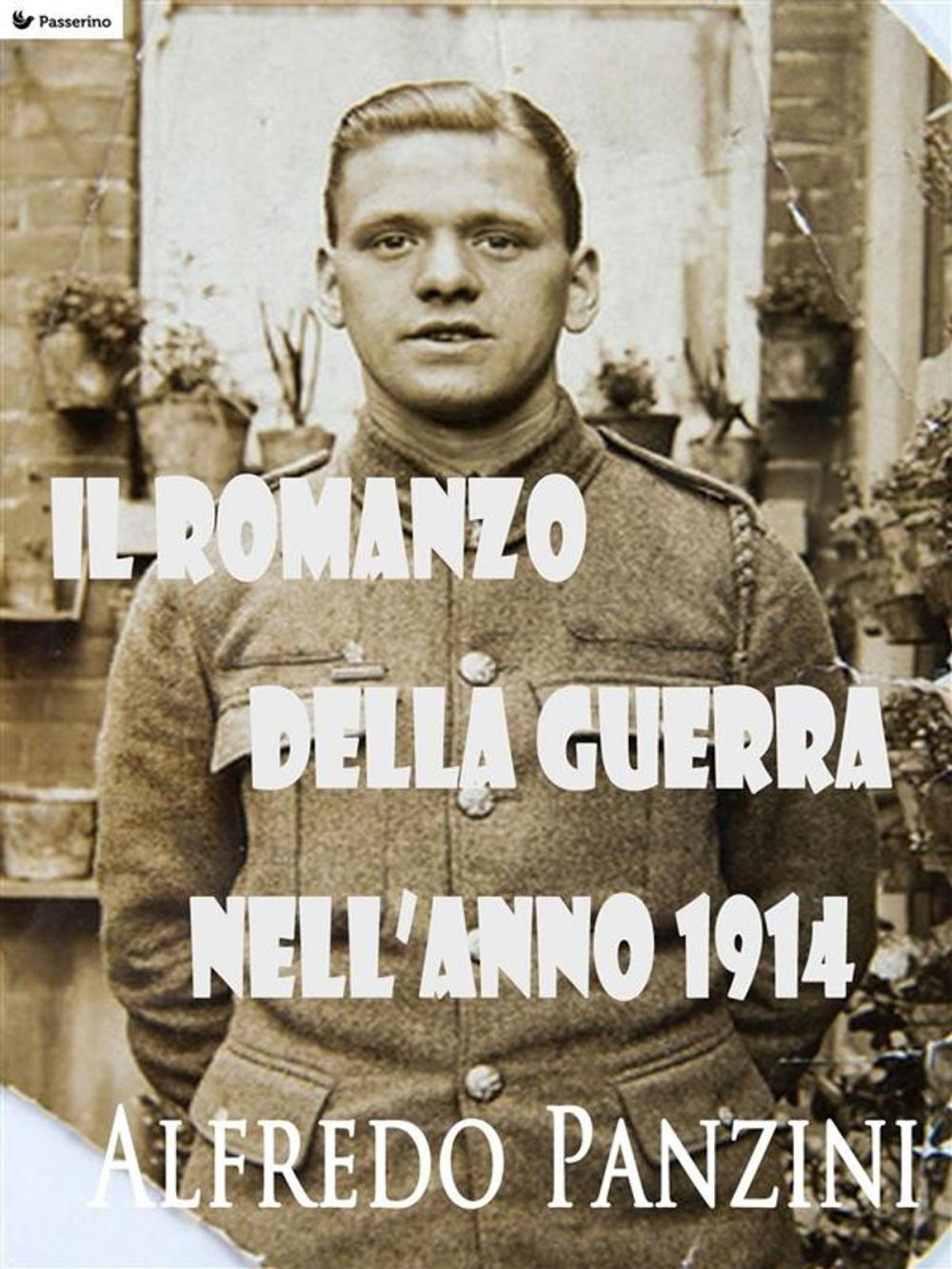 Big bigCover of Il romanzo della guerra nell'anno 1914