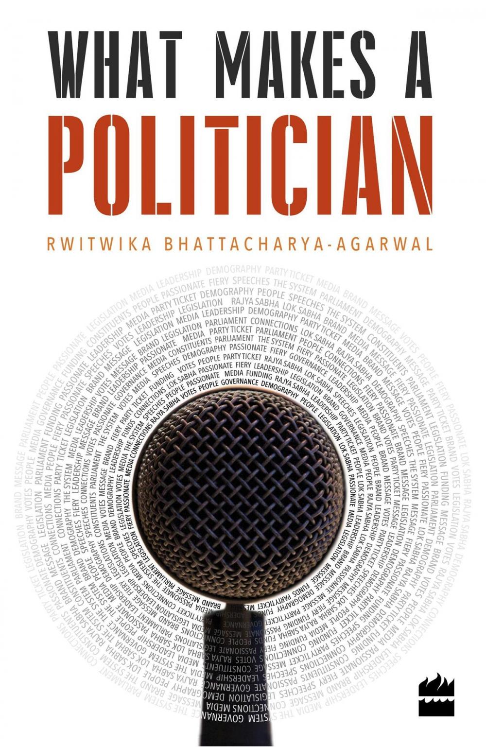 Big bigCover of What Makes a Politician