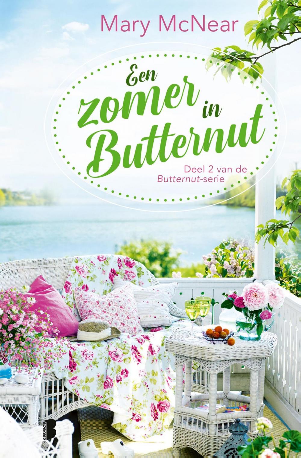 Big bigCover of Een zomer in Butternut