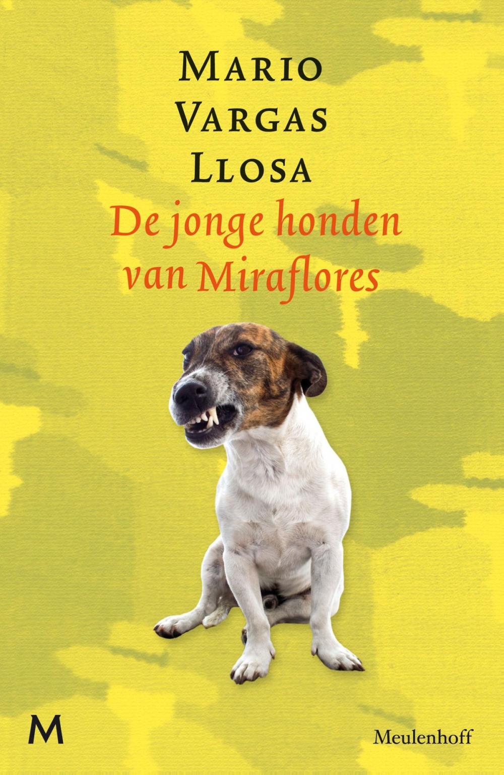 Big bigCover of De jonge honden van Miraflores