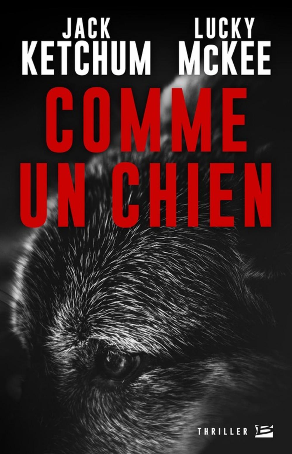 Big bigCover of Comme un chien