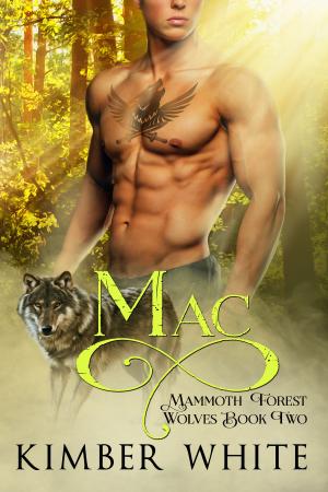 Cover of the book Mac by Jaylee Austin