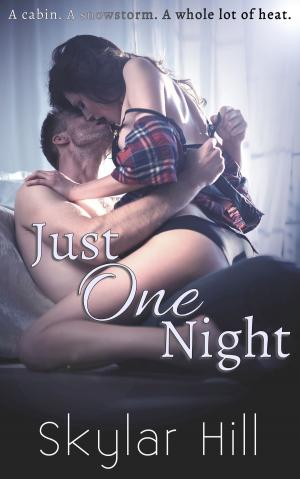 Cover of the book Just One Night by Miranda P. Charles