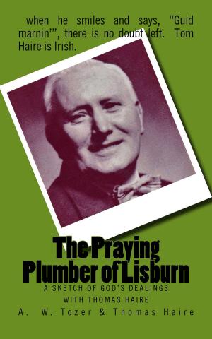 Cover of the book The Praying Plumber of Lisburn by Ronald Daugherty