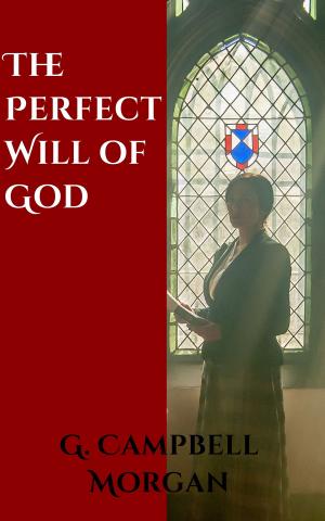 Cover of the book The Perfect Will of God by Claudio de Castro