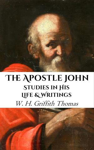 Book cover of The Apostle John