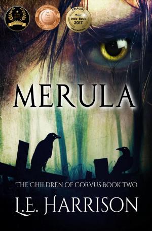 Cover of the book Merula by S. L. Mewse
