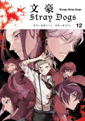 Cover of the book 文豪Stray Dogs 12 by 川口開治