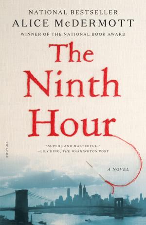 Cover of the book The Ninth Hour by Tanja Wekwerth