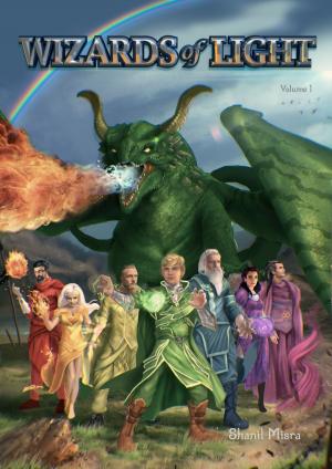 Cover of the book Wizards of Light Volume 1 by NB VanYoos