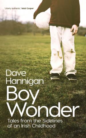 Cover of the book Boy Wonder by Adrian Hendroff