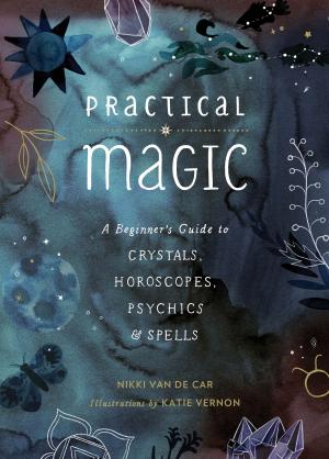 Cover of the book Practical Magic by Jenny Lundquist