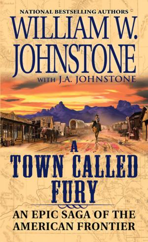 Cover of the book A Town Called Fury by William W. Johnstone