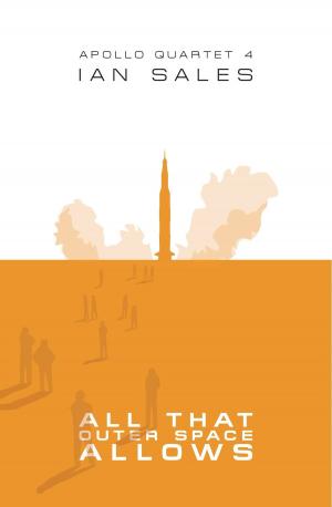 Cover of the book All That Outer Space Allows by Leah Ross