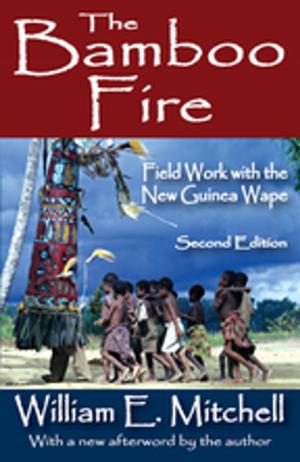 Cover of the book The Bamboo Fire by Stephen J. Lee