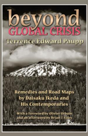 Cover of the book Beyond Global Crisis by Werner Menski
