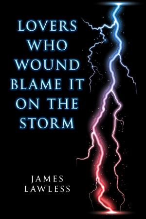 Cover of the book Lovers Who Wound Blame it on the Storm by Jesse Caverly