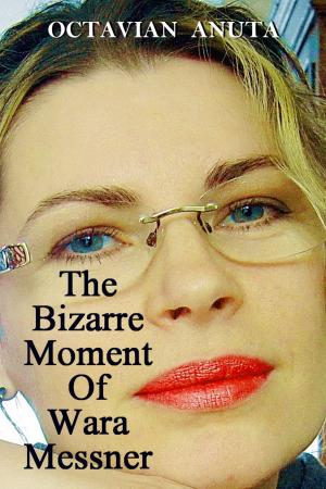 Cover of the book The Bizarre Moment Of Wara Messner by Allie Harrison
