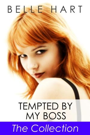 Cover of Tempted by My Boss, The Collection