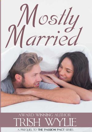Cover of the book Mostly Married by Shawna Lynn Brooks