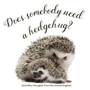 Cover of the book Does Somebody Need a Hedgehug? by Julia M. Usher